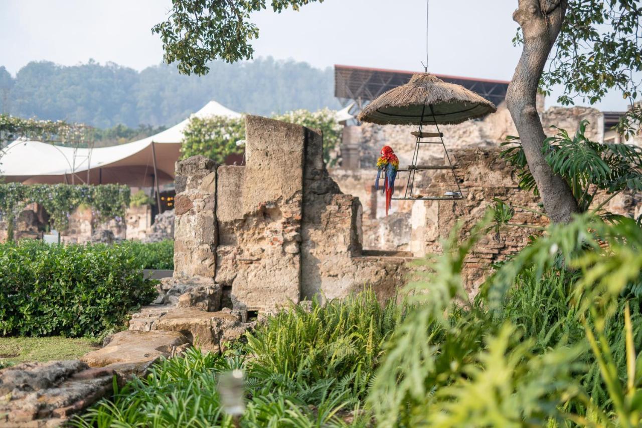 Hotel Museo Spa Casa Santo Domingo Antigua Ngoại thất bức ảnh The ruins of the old zoo